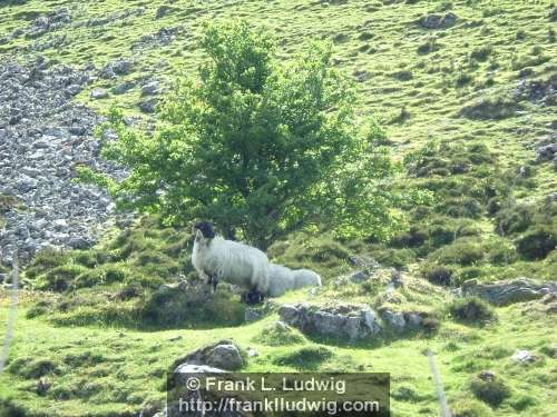 Around Carrowkeel